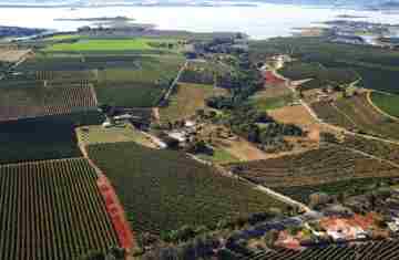  Paraná aumenta participação na produção nacional de grãos, aponta novo relatório do IBGE